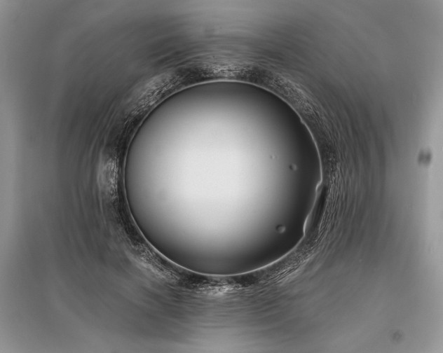 X0000096380646200801241238
