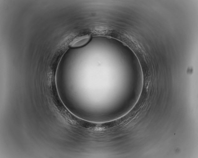 X0000096380647200801241238
