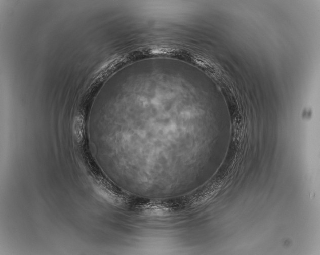 X0000096380648200801241238