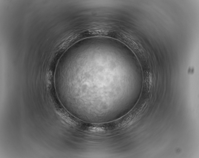 X0000096380649200801241238