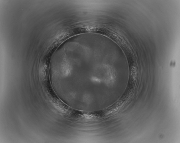X0000096380650200801241238