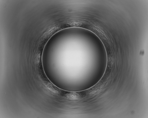 X0000096380652200801241238