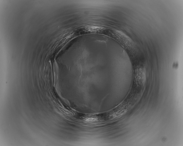 X0000096380653200801241238