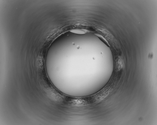 X0000096380654200801241238