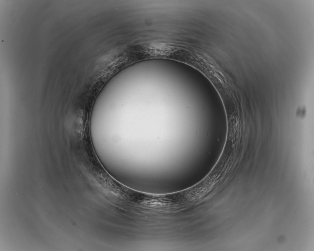X0000096380655200801241238