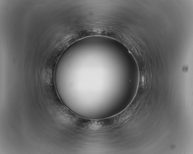 X0000096380656200801241238