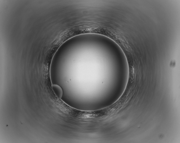 X0000096380657200801241238