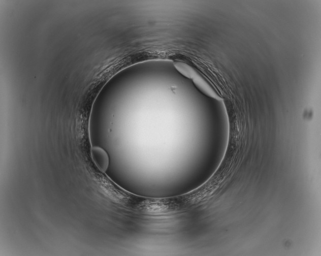 X0000096380658200801241238