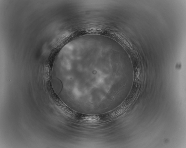 X0000096380659200801241238