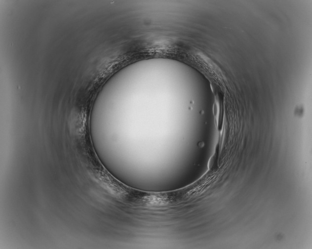 X0000096380660200801241238
