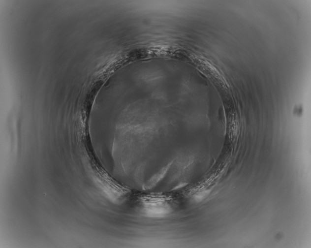 X0000096380661200801241238