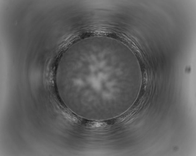 X0000096380663200801241238