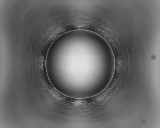 X0000096380664200801241238