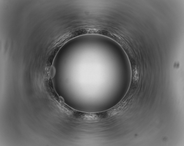 X0000096380666200801241238