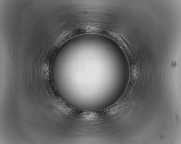 X0000096380667200801241238