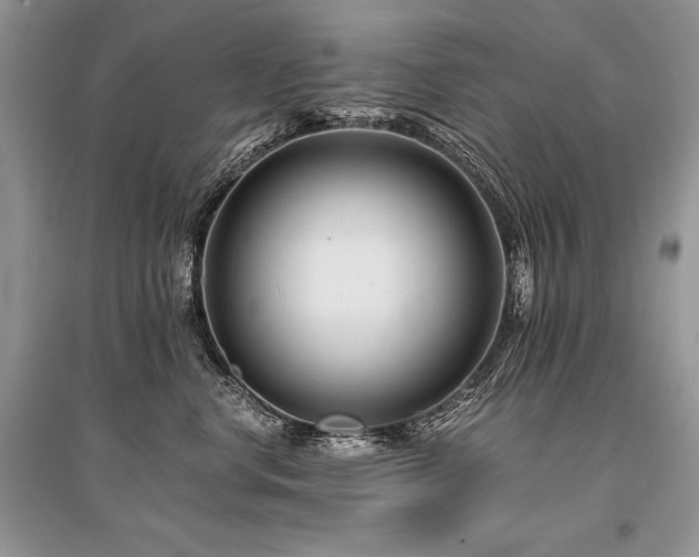 X0000096380668200801241238