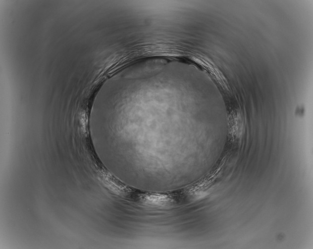 X0000096380669200801241238