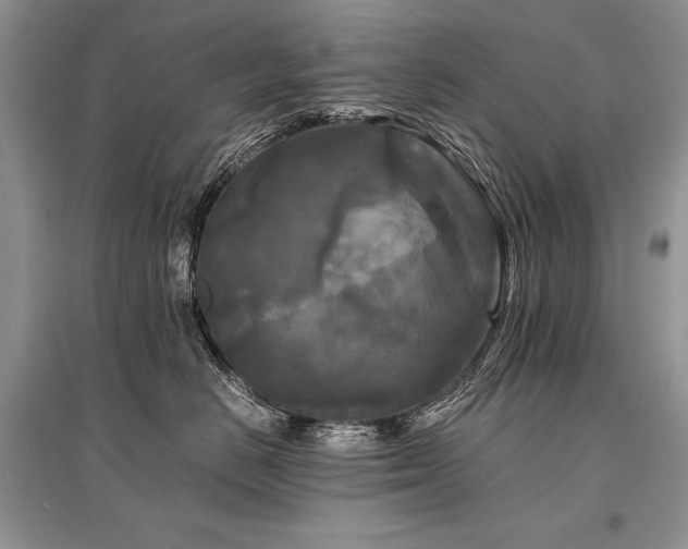 X0000096380670200801241238