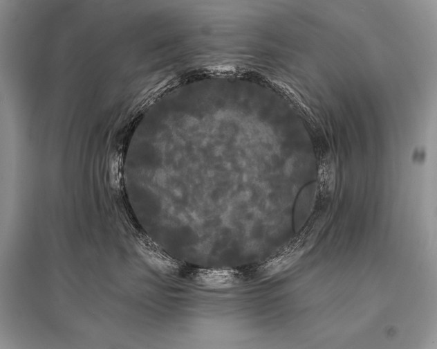 X0000096380671200801241238