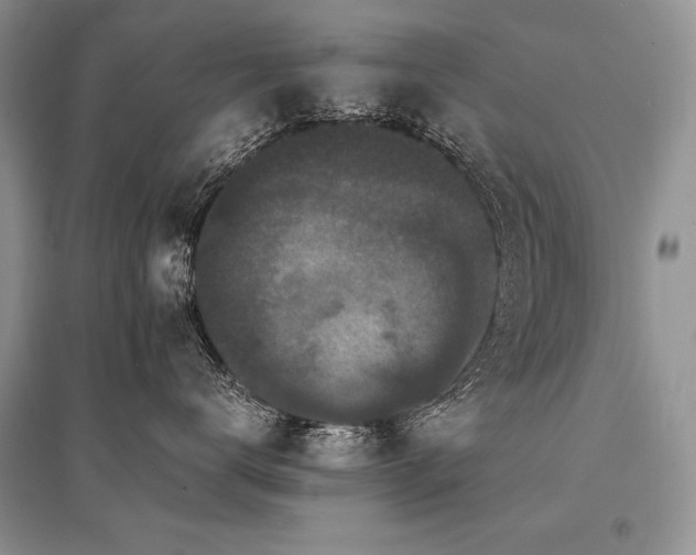 X0000096380672200801241238