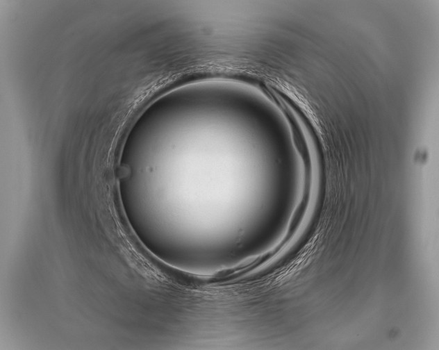 X0000096380673200801241237