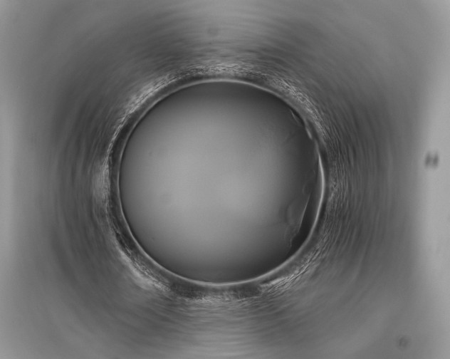 X0000096380674200801241237
