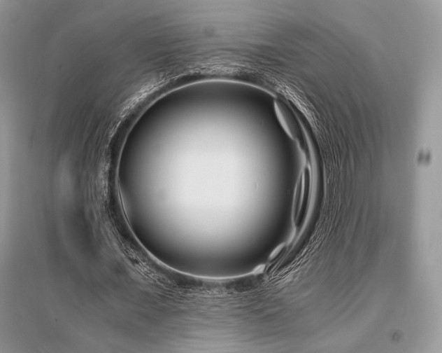 X0000096380675200801241237