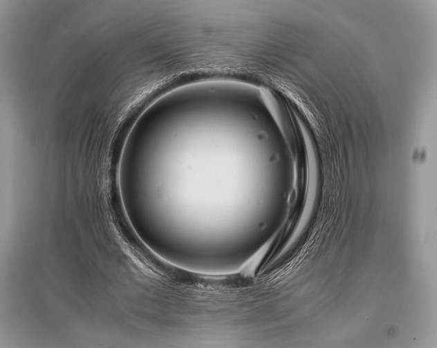 X0000096380677200801241237