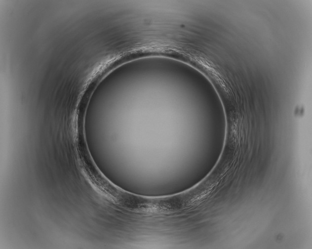 X0000096380678200801241237