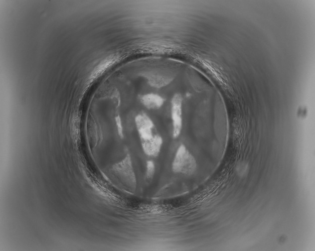X0000096380679200801241237
