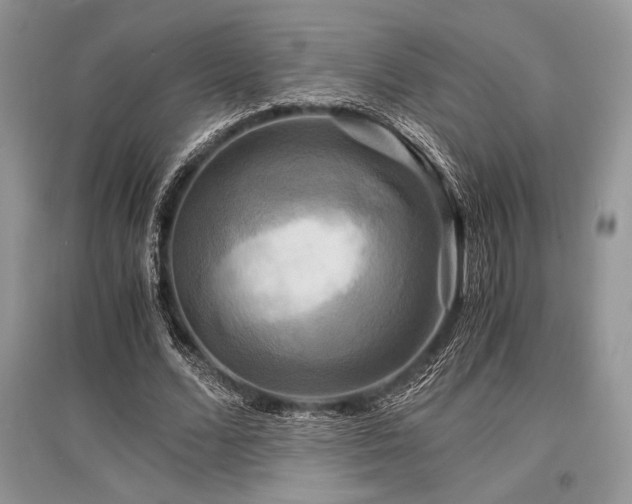 X0000096380680200801241237