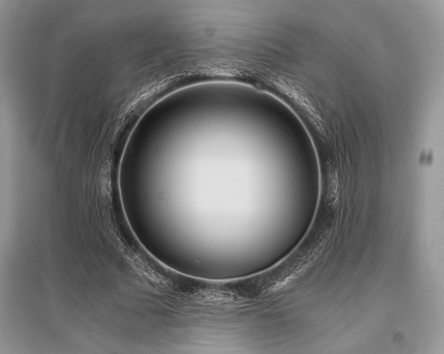X0000096380681200801241237