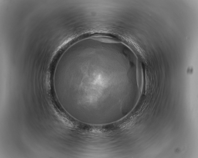 X0000096380684200801241237