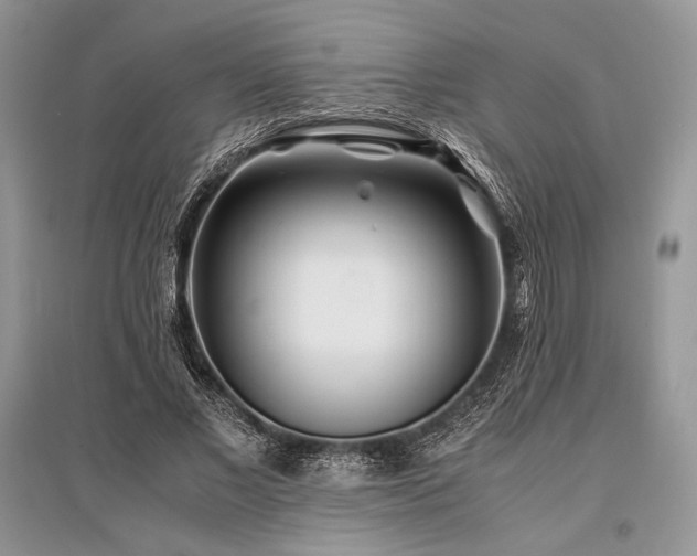 X0000096380685200801241237