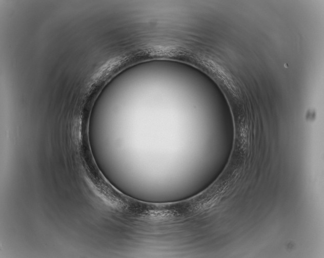 X0000096380686200801241237