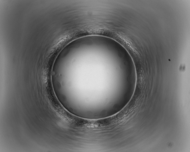 X0000096380687200801241237