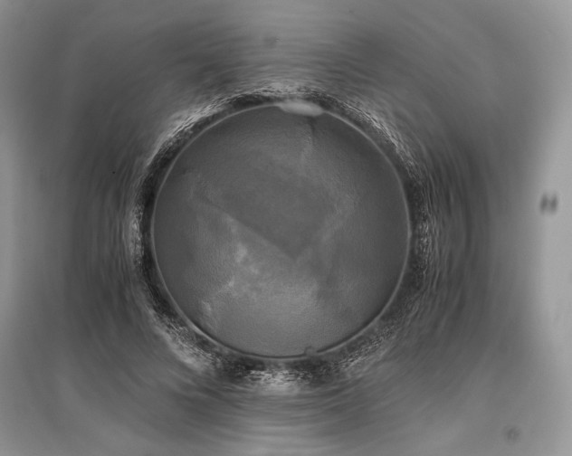 X0000096380688200801241237