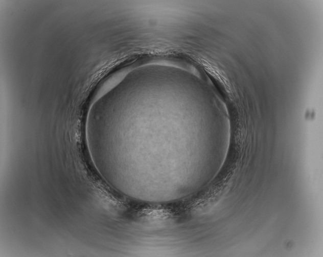 X0000096380689200801241237
