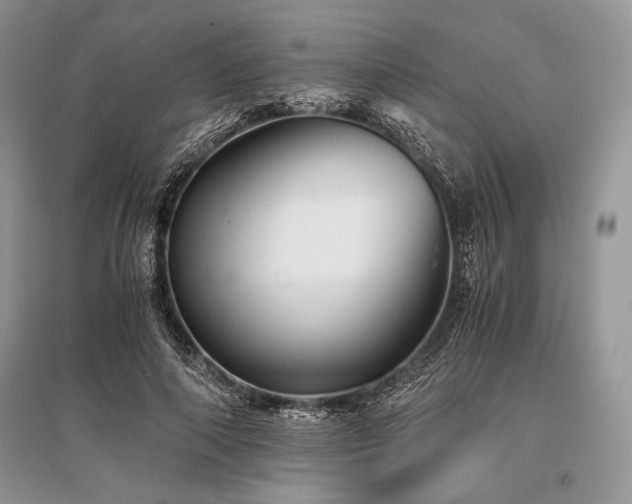 X0000096380690200801241237