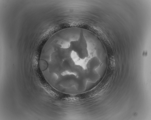 X0000096380691200801241237