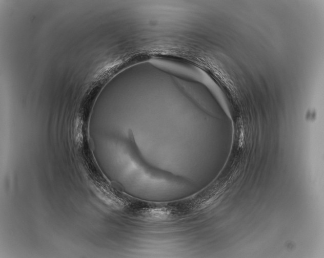 X0000096380692200801241237