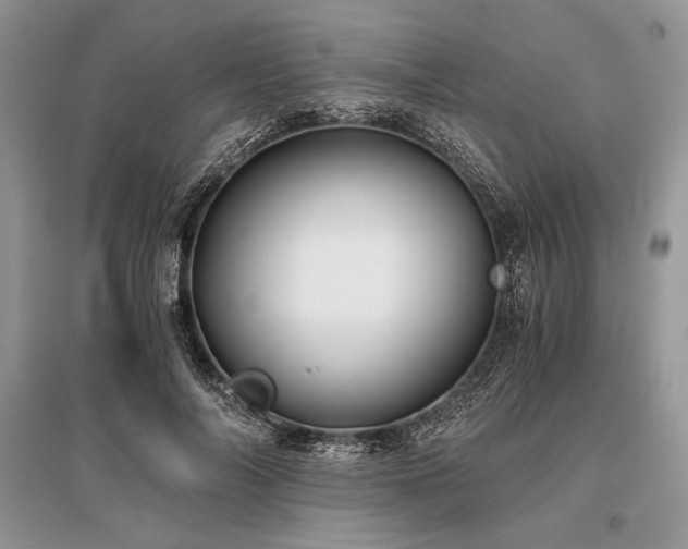 X0000096380694200801241237