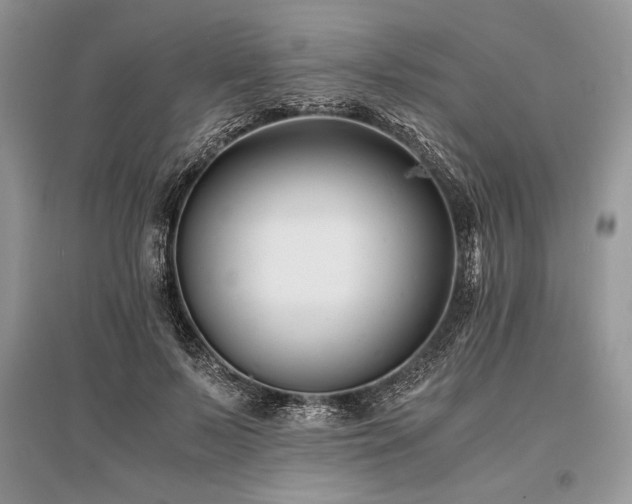 X0000096380695200801241237