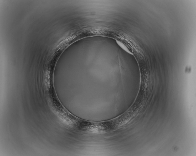 X0000096380696200801241237