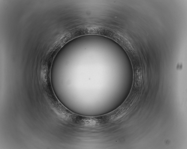 X0000096380698200801241237