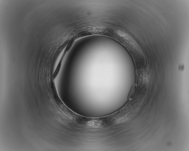 X0000096380700200801241237
