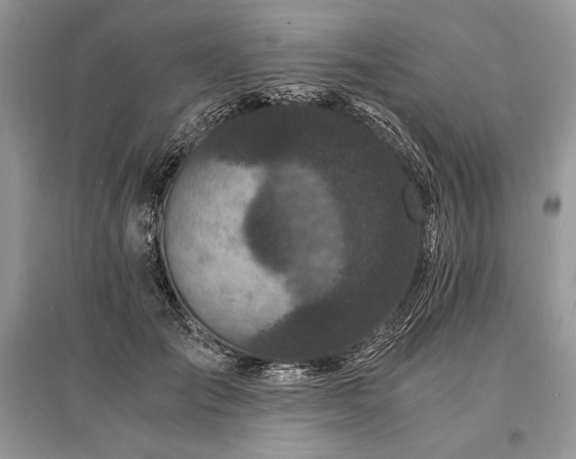 X0000096380701200801241237