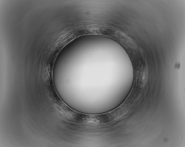 X0000096380702200801241237