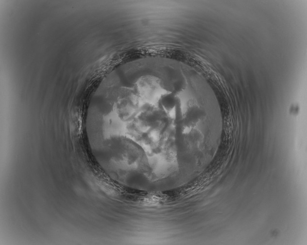 X0000096380703200801241237