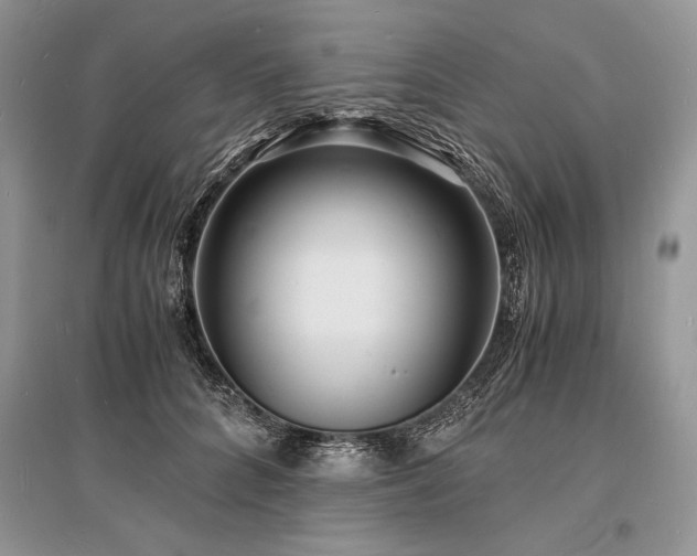 X0000096380704200801241237